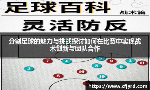分割足球的魅力与挑战探讨如何在比赛中实现战术创新与团队合作